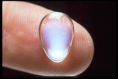 Moonstone Cabochon. Image by Chip Clark. Source: The Smithsonian - https://geogallery.si.edu/10026008/moonstone